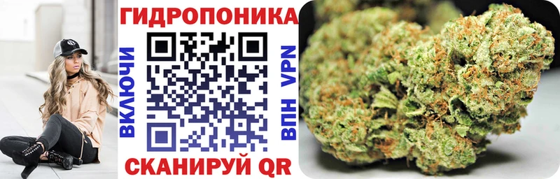 Конопля тримм  KRAKEN как войти  Приозерск  наркошоп 